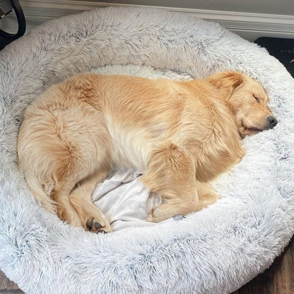 Fluffy Calming Bed