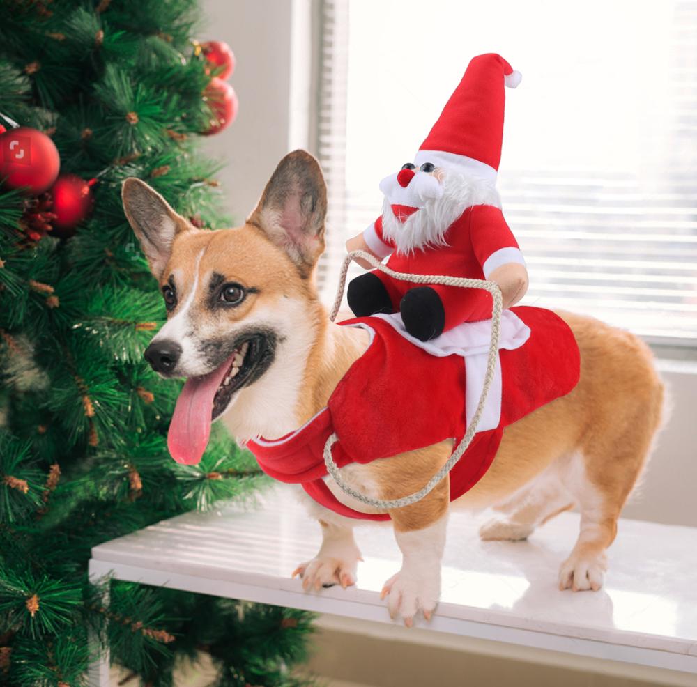 ChristmasDog™️