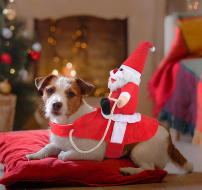 ChristmasDog™️