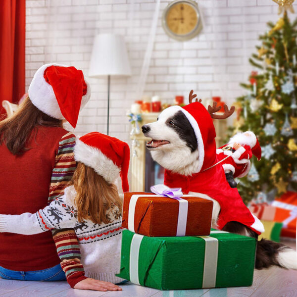 ChristmasDog™️