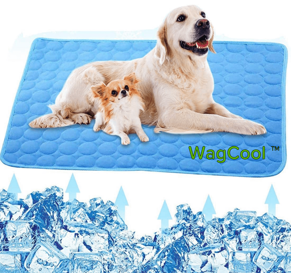 products/IMG_3241.png