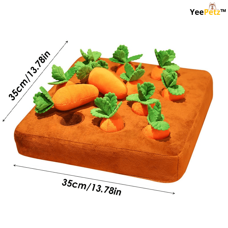 Carrot™ Schattenjacht - Hondenspeeltje