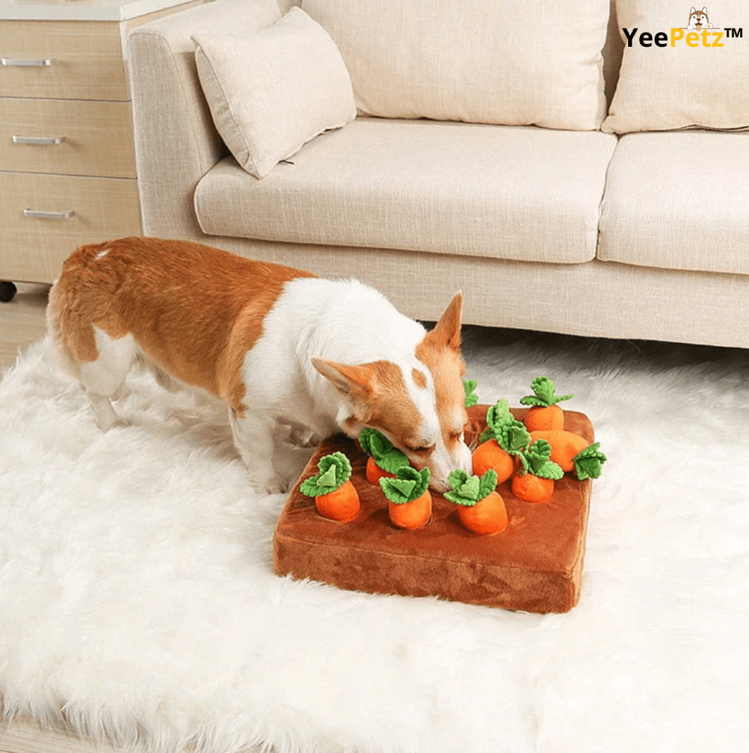 Carrot™ Schattenjacht - Hondenspeeltje