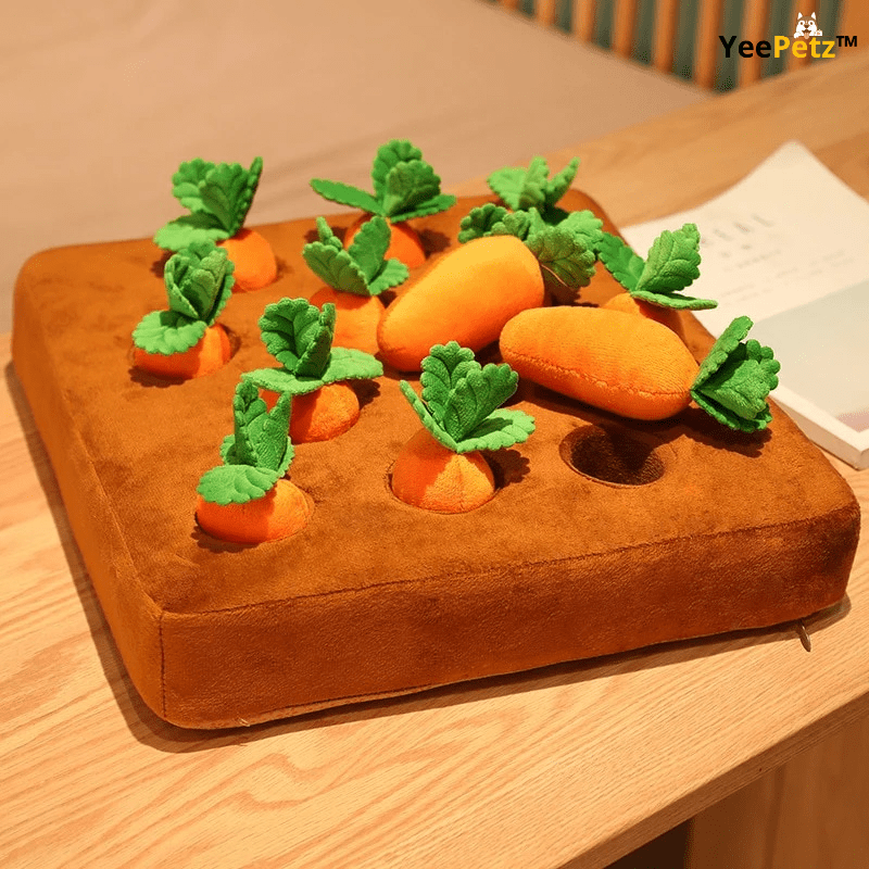 Carrot™ Schattenjacht - Hondenspeeltje