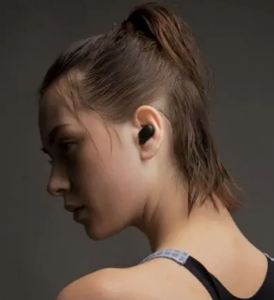 Professionele Draadloze Earbuds