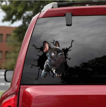 Dog Lover Car Sticker™️