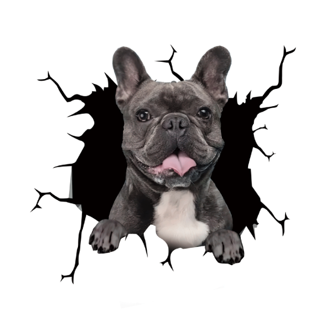 Dog Lover Car Sticker™️