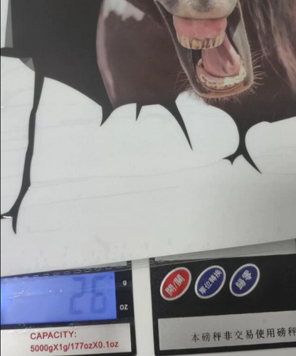 Dog Lover Car Sticker™️