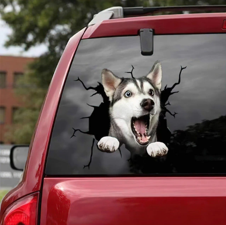 Dog Lover Car Sticker™️