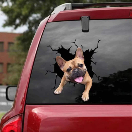 Dog Lover Car Sticker™️