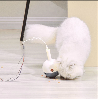 Automatic Cat Ball™️