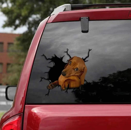 Dog Lover Car Sticker™️