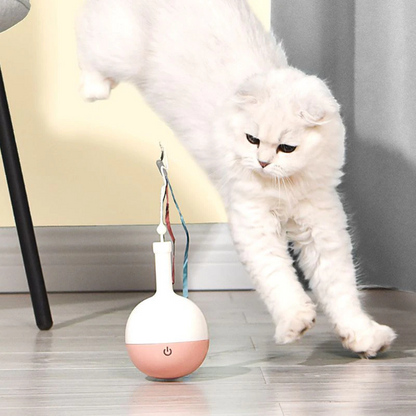 Automatic Cat Ball™️