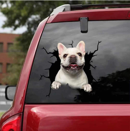 Dog Lover Car Sticker™️