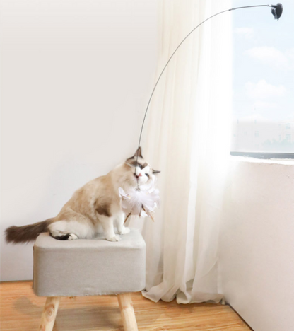 Interactive Cat Toy™ (1 + 1 GRATIS)