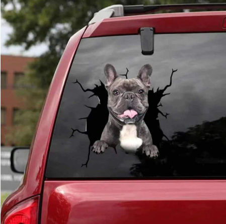 Dog Lover Car Sticker™️
