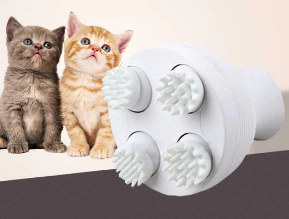 Cat Massage™