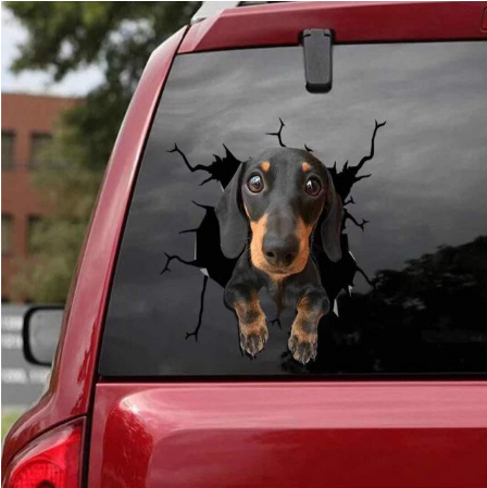 Dog Lover Car Sticker™️