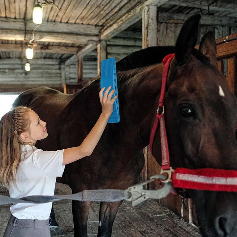6-In-1 Horse Brush | Paard Borstel