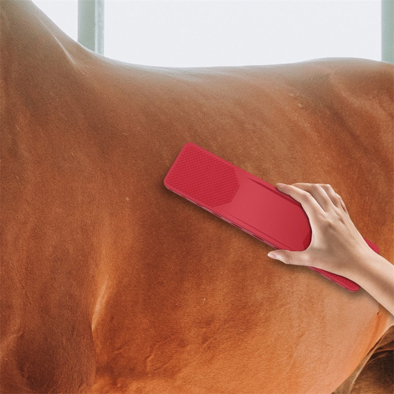 6-In-1 Horse Brush | Paard Borstel