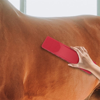 6-In-1 Horse Brush | Paard Borstel