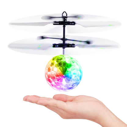Flying Disco | Vliegende Bal