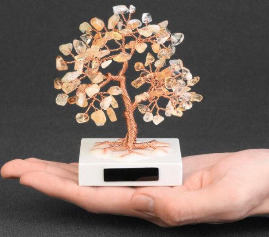 Money Tree™️