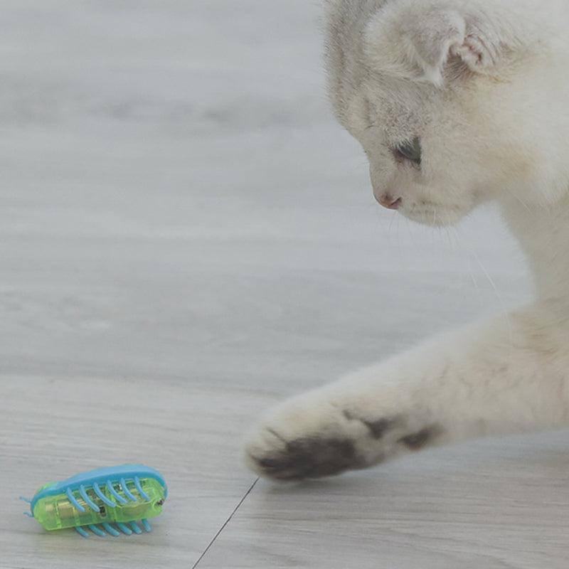 Huisdier Insecten Speelgoed