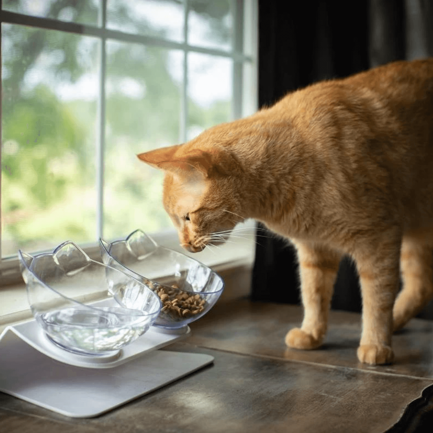 Orthopedische Katten Voederbak