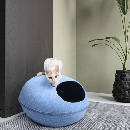 Kattengrot
