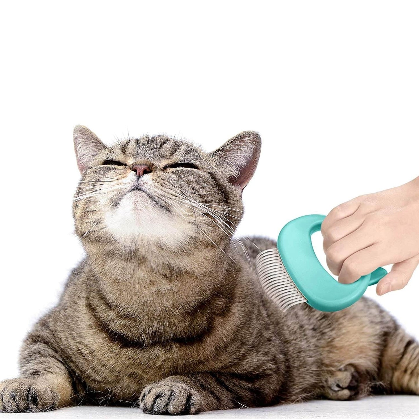 2 in 1 Katten Massage & Kam