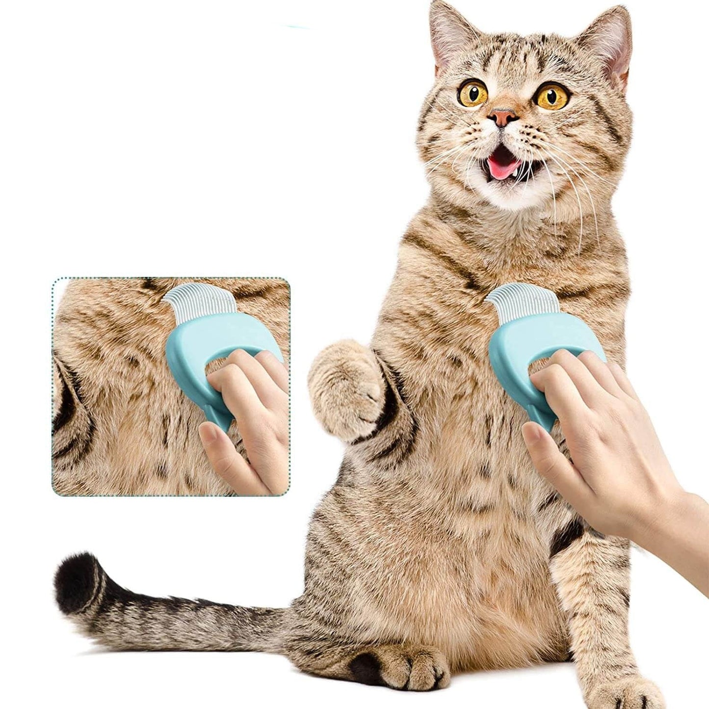 2 in 1 Katten Massage & Kam