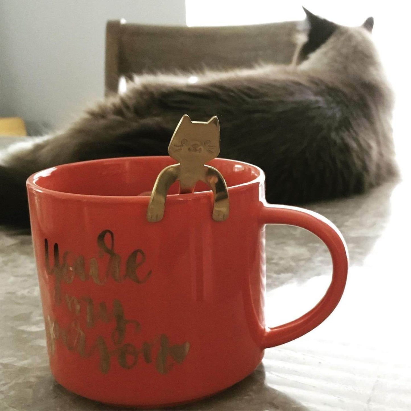 Roestvrij stalen Katten Theelepel