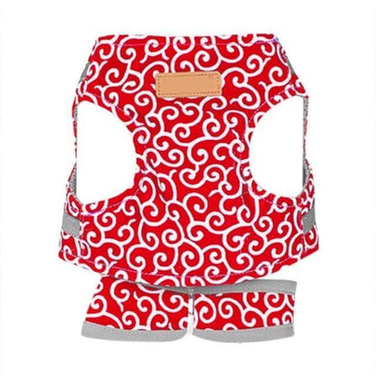 Kattenvest Harnas Set