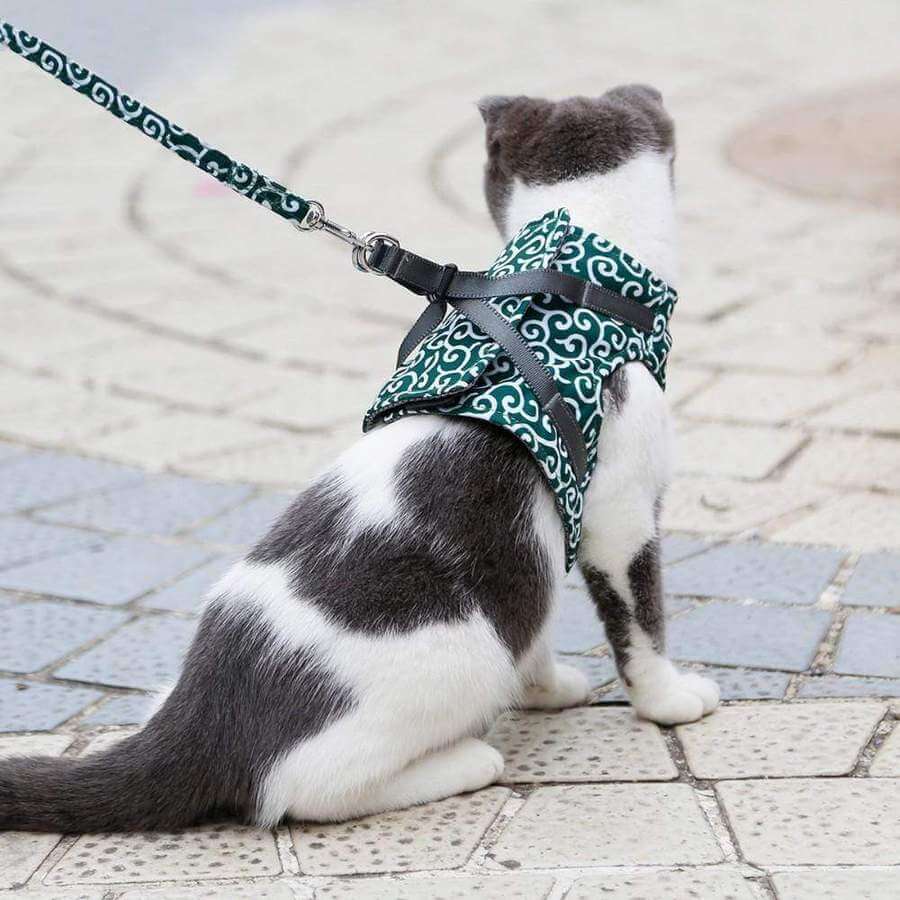 Kattenvest Harnas Set