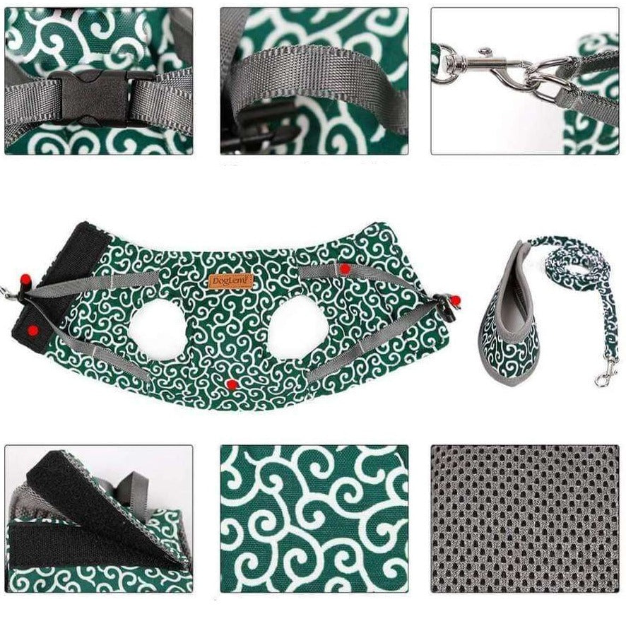 Kattenvest Harnas Set