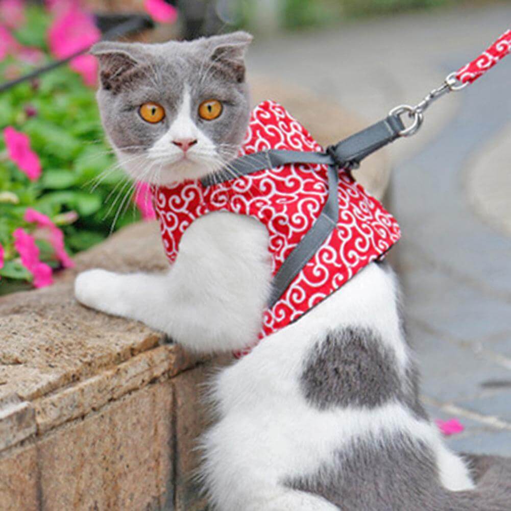 Kattenvest Harnas Set