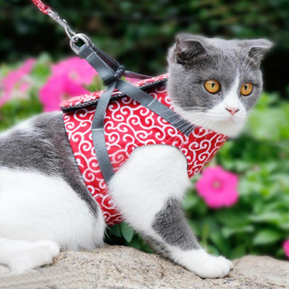 Kattenvest Harnas Set
