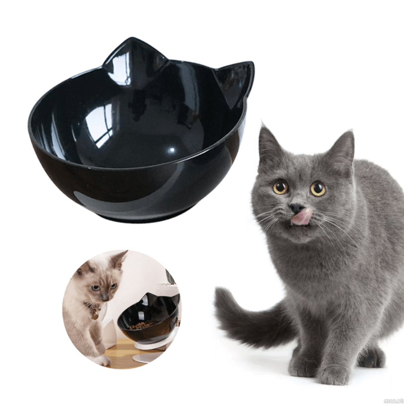 Orthopedische Katten Voederbak