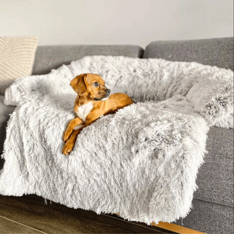 Kalmerende hondenbed & Sofa Beschermer