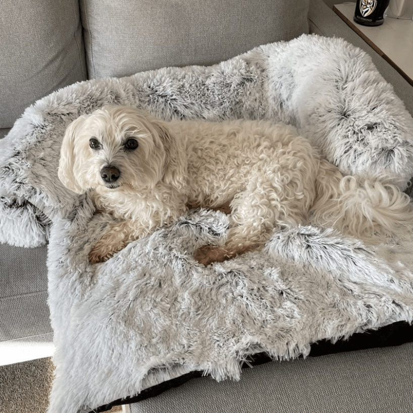 Kalmerende hondenbed & Sofa Beschermer