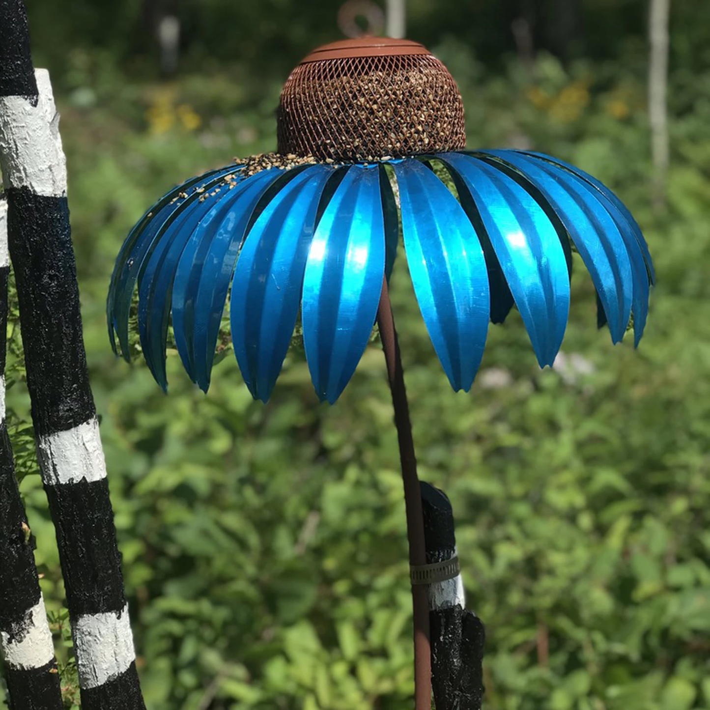 Coneflower Vogel Voederhuisje