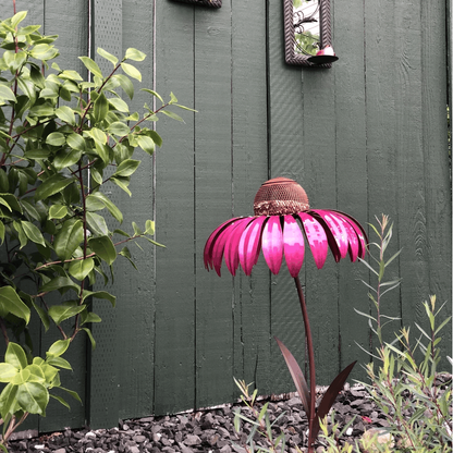 Coneflower Vogel Voederhuisje
