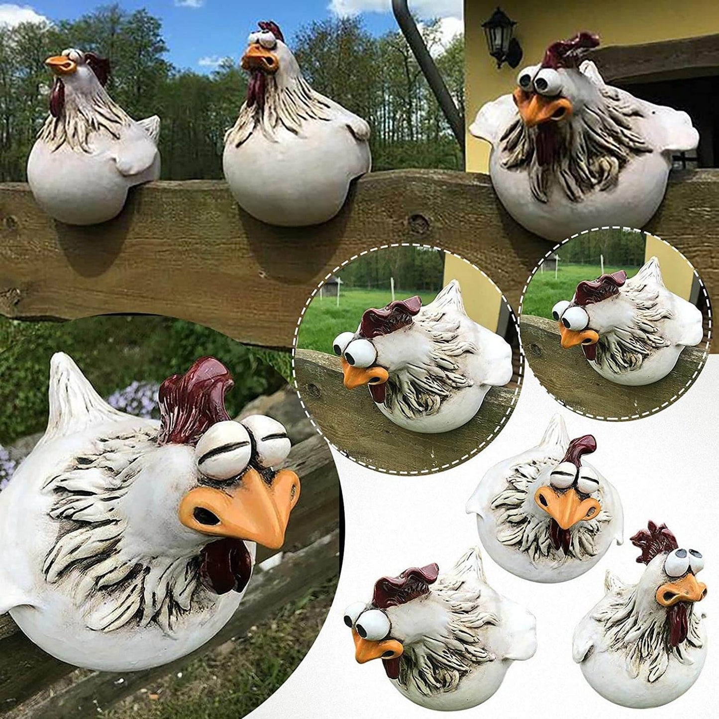Big Eye Chicken | Tuindecoratie