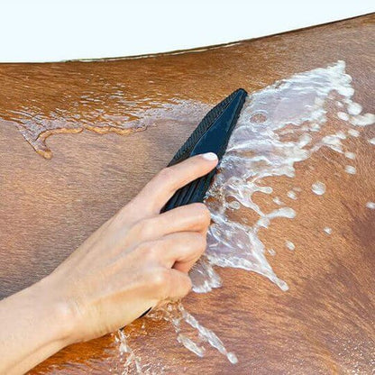 6-In-1 Horse Brush | Paard Borstel