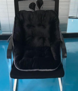 Chair Pillow™️