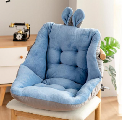 Chair Pillow™️