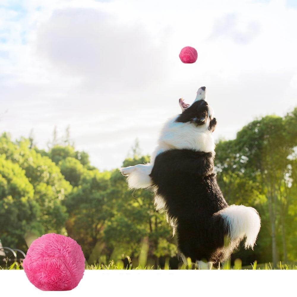 Magische Roller Ball