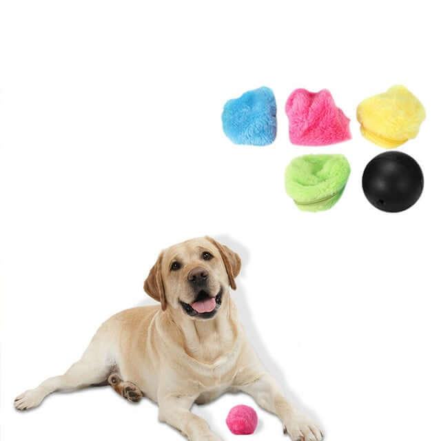 Magische Roller Ball