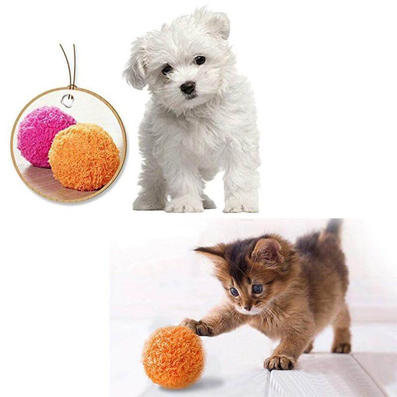 Magische Roller Ball
